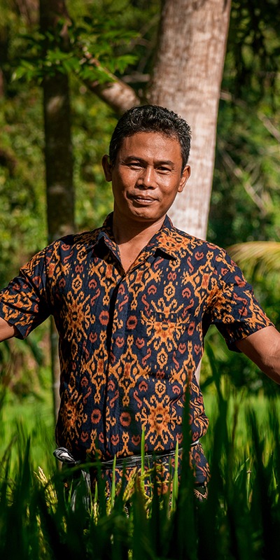 photo ketut in fields